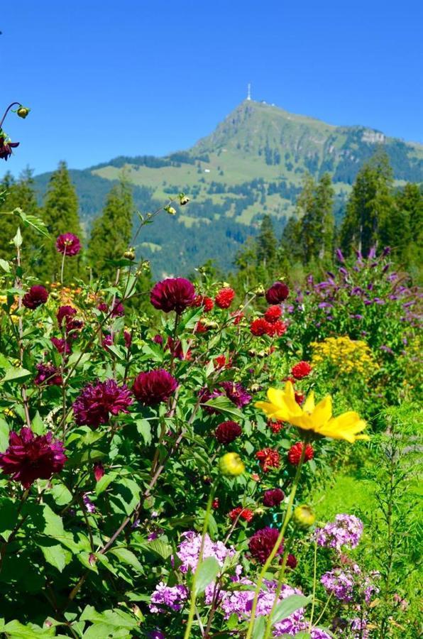 Landhaus Barbara Kitzbühel Dış mekan fotoğraf