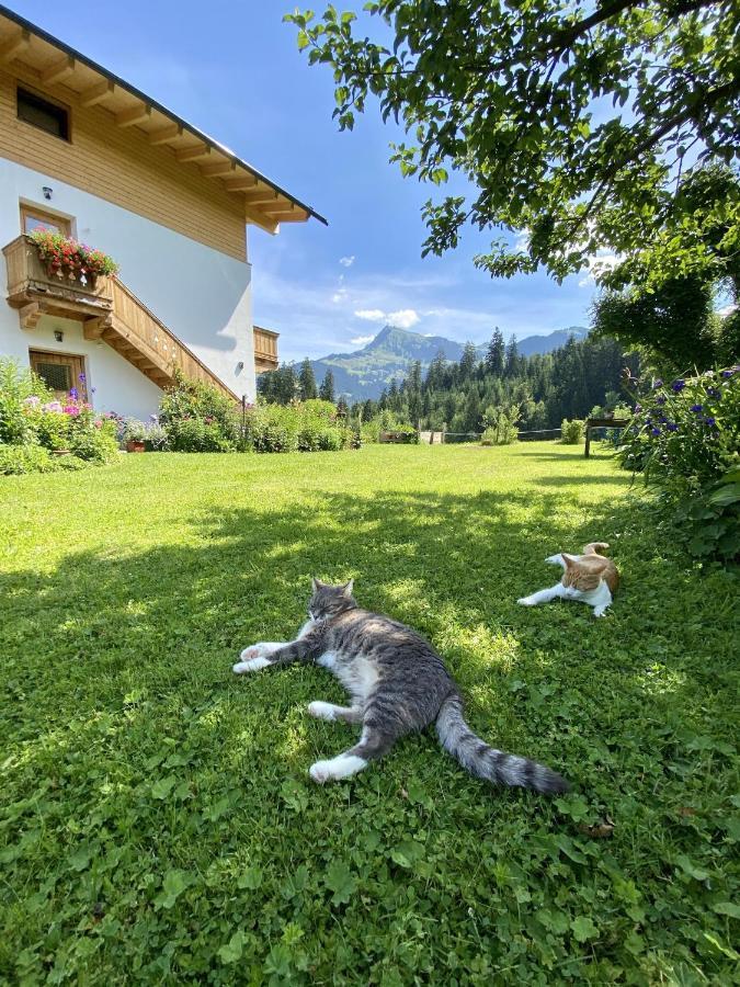 Landhaus Barbara Kitzbühel Dış mekan fotoğraf